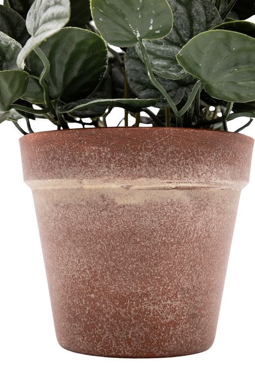 Vibrante Peperomia artificial